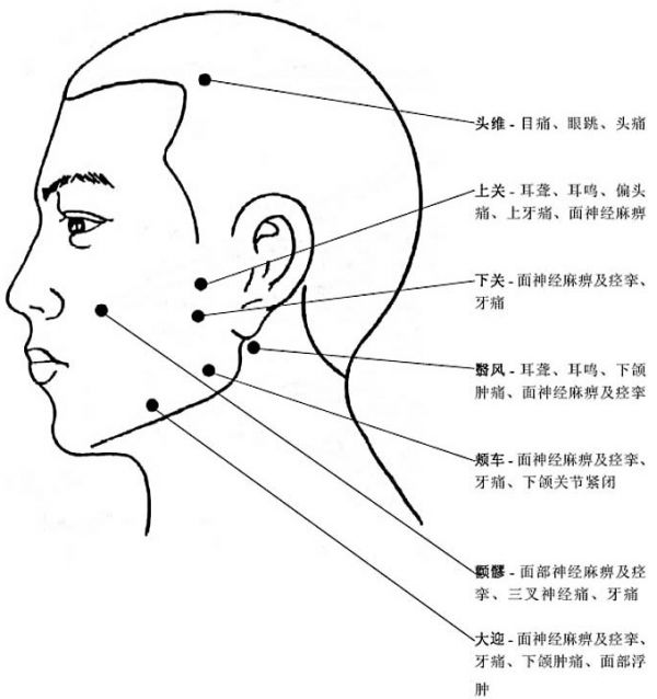人體面部穴位圖及作用功效
