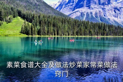  素菜食譜大全及做法炒菜家常菜做法竅門