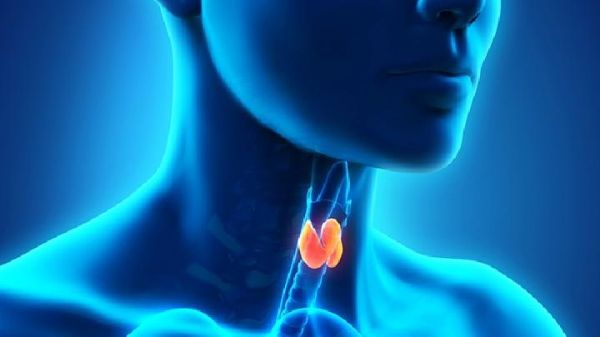 饮食型肥胖、水肿型肥胖 对号入座来掌握减肥重点