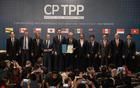 屢敗屢戰(zhàn)，中國為什么非得盯著CPTPP