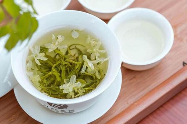 腸胃不好，不知道喝什么茶才對？不用擔心 這5款養(yǎng)胃茶推薦給你