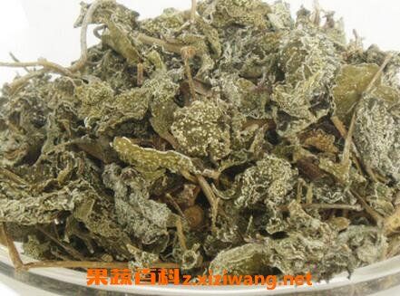 溪黃茶泡水為什么有點苦 溪黃茶如何泡好喝