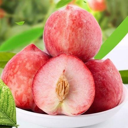 食品與增強(qiáng)自身免疫力的關(guān)系，看懂了有利于身體健康？