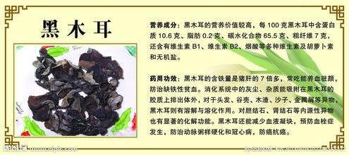 黑木耳是最優(yōu)質(zhì)天然的補血品 - 小美 - xing1969wuw的博客