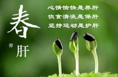 黑木耳，配上它們，春天養(yǎng)肝護(hù)肝，就吃它！肝好，腎好，身才好