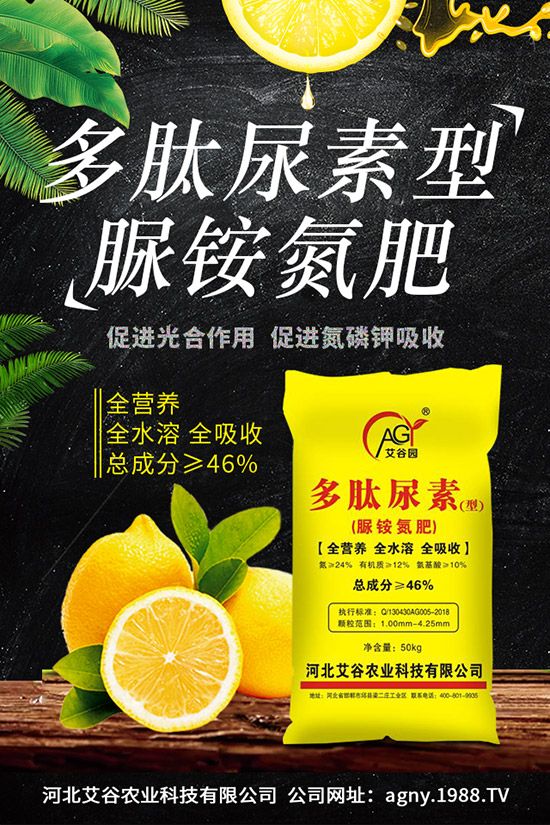 山藥種植時(shí)間，山藥種植技術(shù)與栽培管理