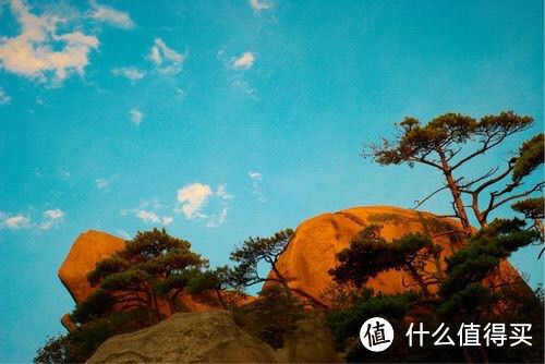 山藥種植技術及病蟲害防治策略探討