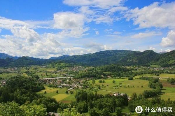 山藥種植技術及病蟲害防治策略探討