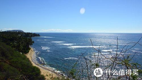 山藥種植技術及病蟲害防治策略探討