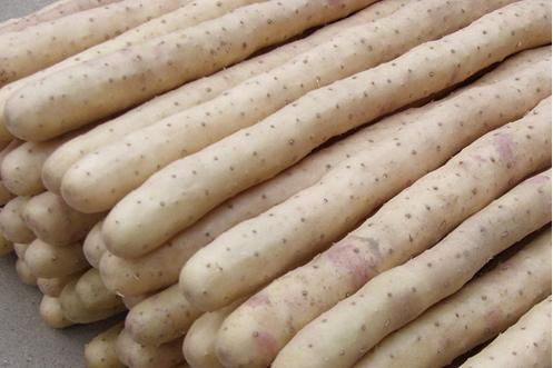 白山药和麻山药的功效区别