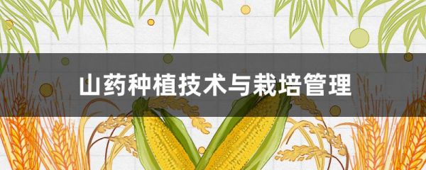 山药种植技术与栽培管理