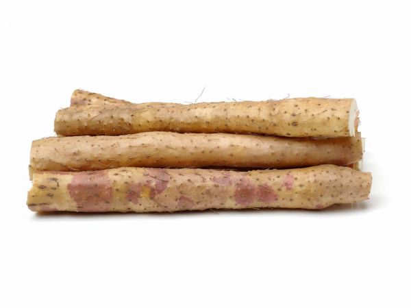 麻山藥根腐病防治的科學(xué)路徑