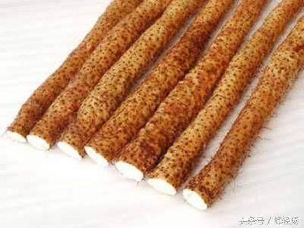 “中國(guó)皮都”河北蠡縣的歷史沿革！范蠡、西施曾在此經(jīng)商