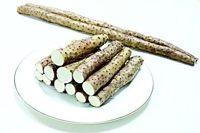 【國(guó)家地理標(biāo)志產(chǎn)品探秘④】得天獨(dú)厚的懷山藥