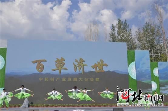第三屆京津冀“藥發(fā)大會(huì)”開幕 河北道地中藥材悉數(shù)亮相