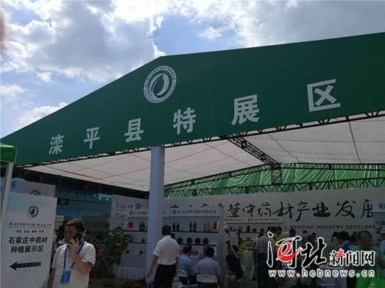 第三屆京津冀“藥發(fā)大會(huì)”開幕 河北道地中藥材悉數(shù)亮相