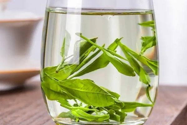 適合夏季的茶飲有哪些，夏季清火茶飲配方