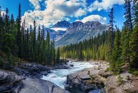 针灸都有那些后遗症