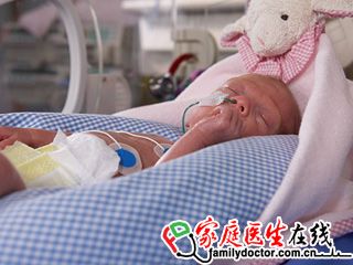 德尔格 新生儿护理配件