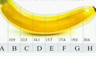 凯寿 男性性功能罩杯装置