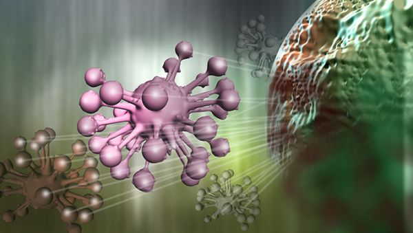 低分化肝細胞癌生存率