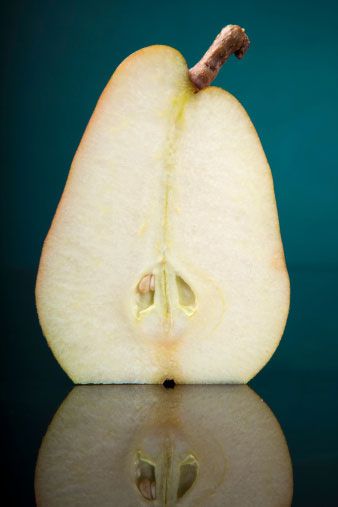 减肥业利润极高，商业市场前景极好