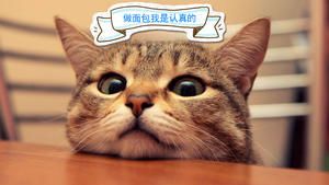 為什么我做的面包像饅頭(配方篇)的做法 步驟2