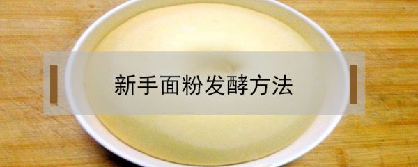 新手面粉發(fā)酵方法