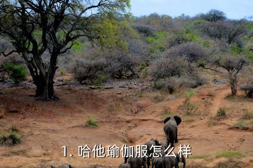 1. 哈他瑜伽服怎么樣