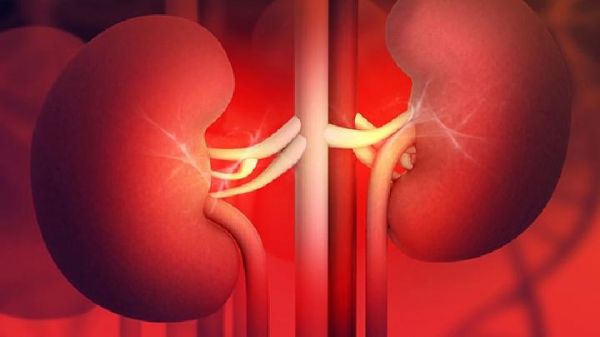 男性強(qiáng)腎--運(yùn)動(dòng)按摩養(yǎng)腎法