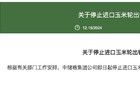 中儲(chǔ)糧集團(tuán)：即日起停止進(jìn)口玉米輪出銷售