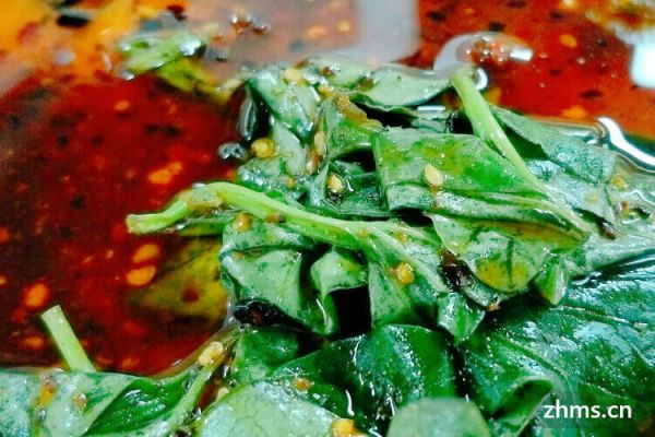 魚腥草減肥法
