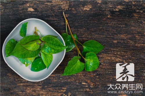  魚(yú)腥草煮水要煮多久