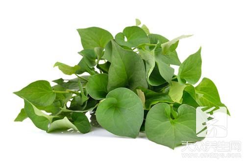 折耳根的熱量