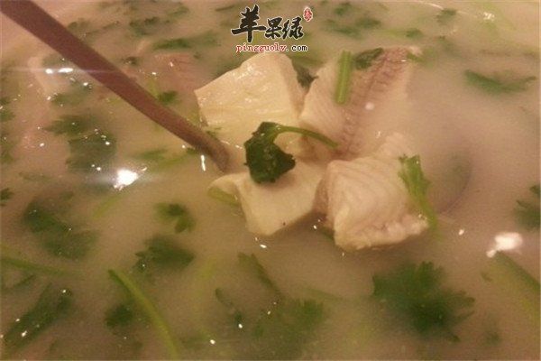 魚腥草冬瓜瘦肉湯1.jpg
