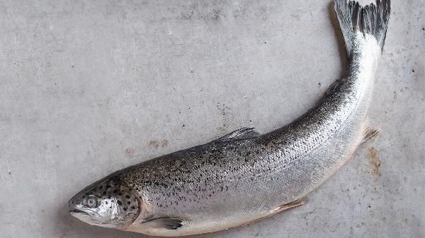魚腥草的功效有哪些 魚腥草鯽魚湯可消炎解毒