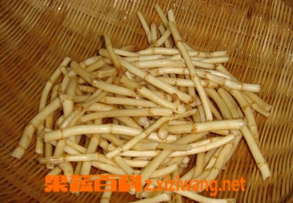 果蔬百科魚腥草