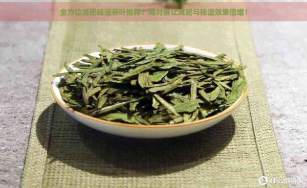全方位減肥祛濕茶葉推薦：喝對茶讓減肥與祛濕效果倍增！