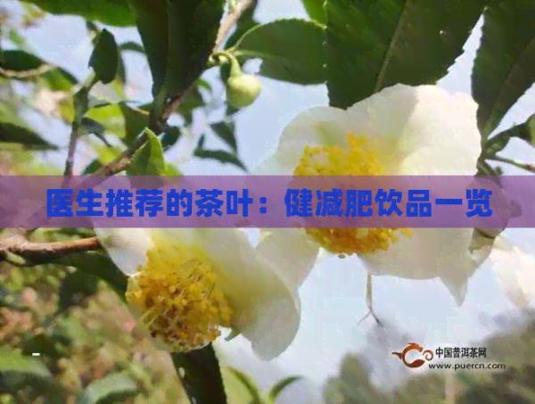 醫(yī)生推薦的茶葉：健減肥飲品一覽