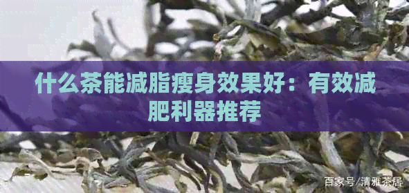 什么茶能減脂瘦身效果好：有效減肥利器推薦