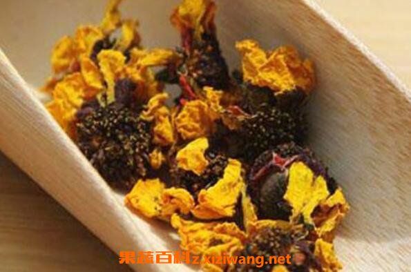 昆侖雪菊的功效與作用有哪些