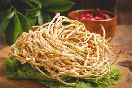 魚腥草怎么吃能減肥5