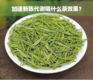 加速新陈代谢喝什么茶效果?