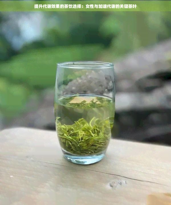 提升代谢效果的茶饮选择:女性与加速代谢的关键茶叶