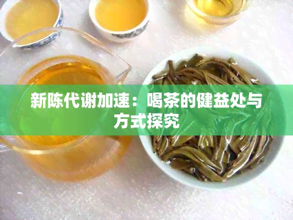 新陳代謝加速：喝茶的健益處與方式探究