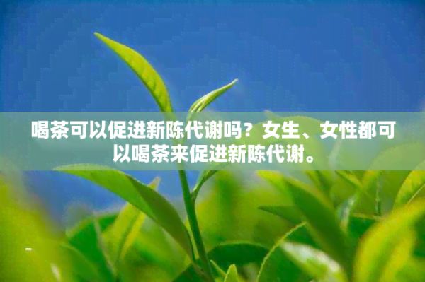 喝茶可以促進新陳代謝嗎？女生、女性都可以喝茶來促進新陳代謝。