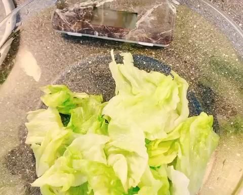 純奶手撕吐司的做法 步驟1