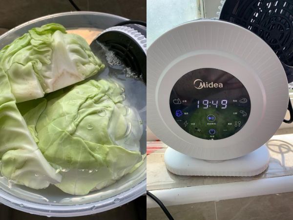 純奶手撕吐司的做法 步驟1