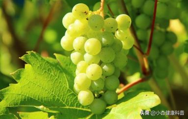 飯后吃水果，看似健康，實(shí)則壞處很大