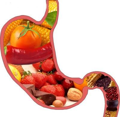 水果最快脂肪最慢 盘点不同食物消化时间表